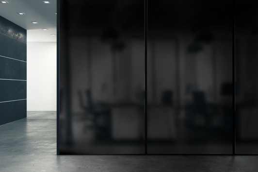 白と黒、2つの瞬間調光が生む世界観の違い